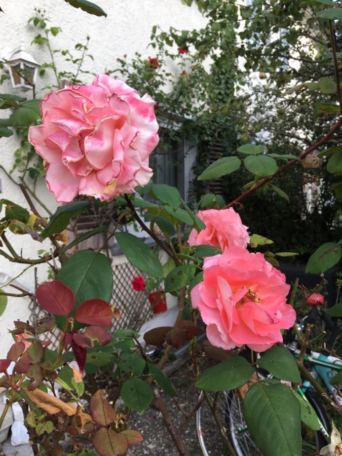 Vintage-mansarde Uber Wilden Garten Homestay