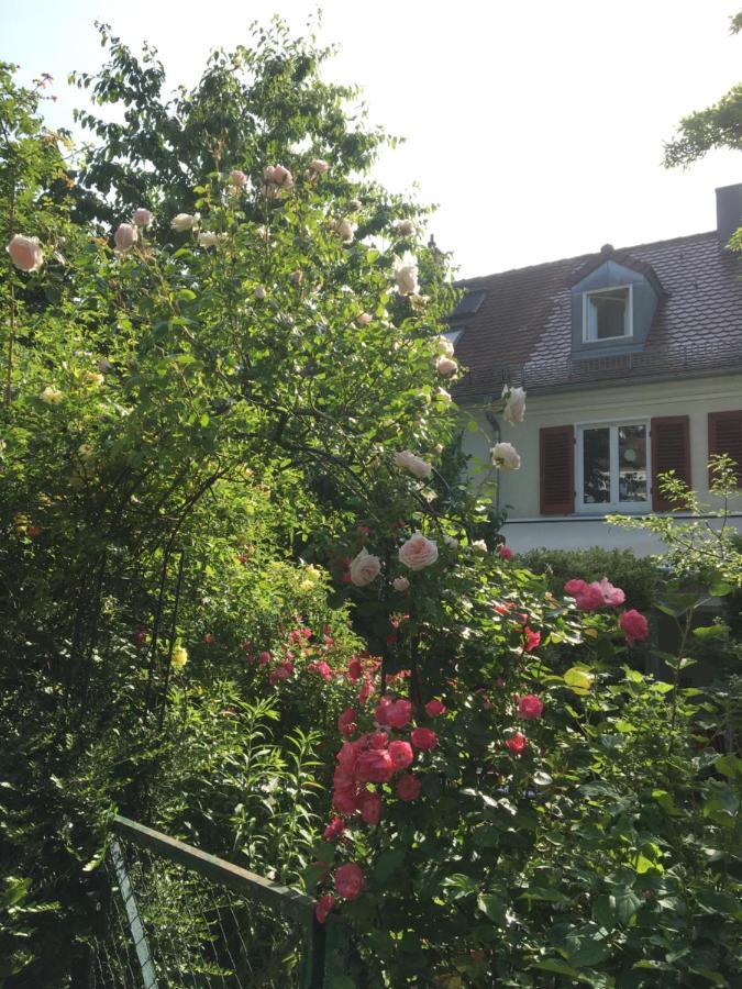 Vintage-mansarde Uber Wilden Garten Homestay